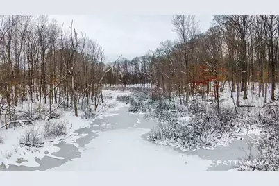 923 132nd Avenue, Wayland, MI 49348 - Photo 6