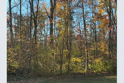 V/L Maple Hill Road #Parcel C, Howard City, MI 49329 - Photo 10