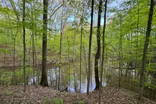 6629 W East Rd, Three Oaks, MI 49128 - Photo 40