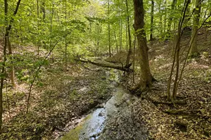 6629 W East Rd, Three Oaks, MI 49128 - Photo 42