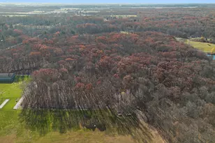 6629 W East Rd, Three Oaks, MI 49128 - Photo 26