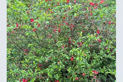 6629 W East Road, Three Oaks, MI 49128 - Photo 38