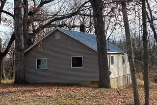 1273 E Bridge St, Lyons, MI 48851 - Photo 2