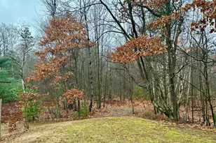 2471 W 12 Mile Rd, Bitely, MI 49309 - Photo 36