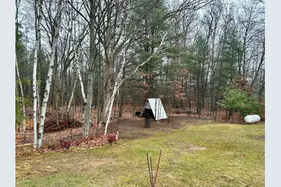 2471 W 12 Mile Road, Bitely, MI 49309 - Photo 38