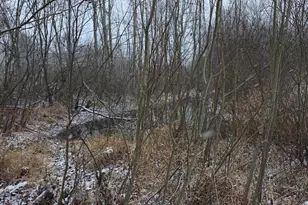 849 18th St, Otsego, MI 49078 - Photo 50