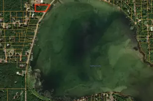 V/L 1 47A N Tallman Lake Rd, Fountain, MI 49410 - Photo 10