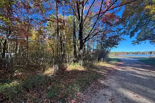 V/L 1 47A N Tallman Lake Rd, Fountain, MI 49410 - Photo 4