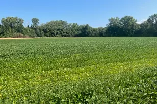 Wilson Rd, New Buffalo, MI 49117 - Photo 4