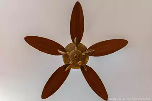 9333 Butterfly Ct, Allendale, MI 49401 - Photo 14