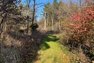 4650 N 36th St, Galesburg, MI 49053 - Photo 40