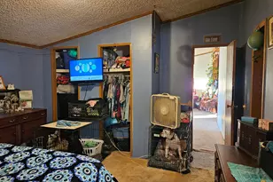 9156 50th Ave, Evart, MI 49631 - Photo 14