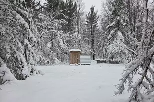 V/L Abermanis Trail, Luther, MI 49656 - Photo 1