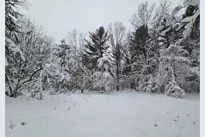 V/L Abermanis Trail, Luther, MI 49656 - Photo 6