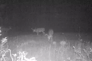 7200 E 46 Rd, Cadillac, MI 49601 - Photo 40