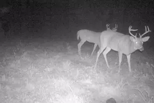 7200 E 46 Rd, Cadillac, MI 49601 - Photo 32