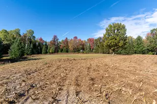 7200 E 46 Rd, Cadillac, MI 49601 - Photo 28