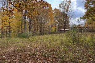 000 W Clear Lake Rd, Buchanan, MI 49107 - Photo 2