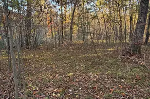 V/L Maple Hill Rd, Howard City, MI 49329 - Photo 1