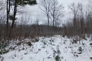 V/L 118A E Townline Rd, Free Soil, MI 49411 - Photo 4