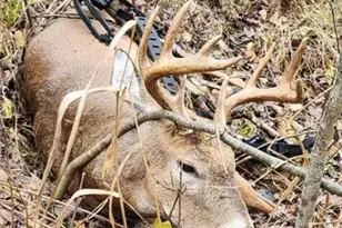 V/L 118A E Townline Rd, Free Soil, MI 49411 - Photo 22