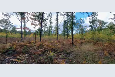 V/L 118A E Townline Road, Free Soil, MI 49411 - Photo 36