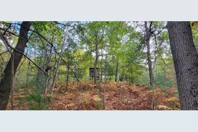 V/L 118A E Townline Road, Free Soil, MI 49411 - Photo 34