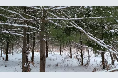 V/L 118A E Townline Road, Free Soil, MI 49411 - Photo 16