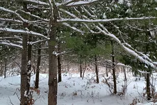 V/L 118A E Townline Rd, Free Soil, MI 49411 - Photo 16