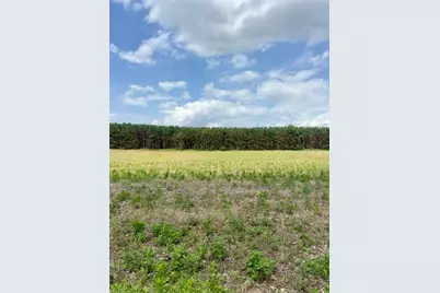 0 Seymour #E Road, Grass Lake, MI 49240 - Photo 2
