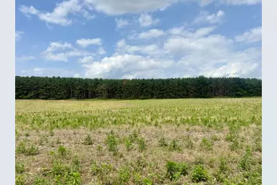 0 Seymour #E Road, Grass Lake, MI 49240 - Photo 1