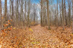 10798 E Remus Rd, Mount Pleasant, MI 48858 - Photo 24