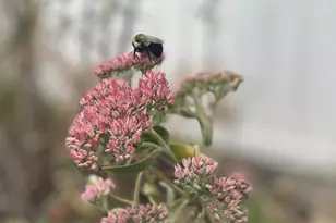 3517 Pinewood Trail, Holton, MI 49425 - Photo 10