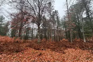 6270 S Woods Trail, Custer, MI 49405 - Photo 28