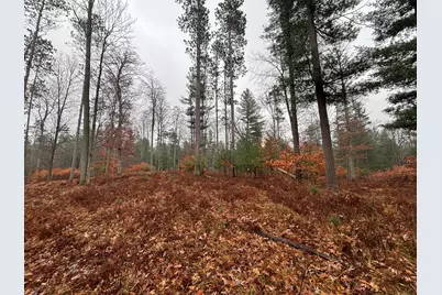 6270 S Woods Trail, Custer, MI 49405 - Photo 24