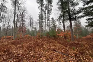 6270 S Woods Trail, Custer, MI 49405 - Photo 24