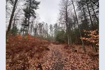 6270 S Woods Trail, Custer, MI 49405 - Photo 26