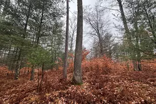 6270 S Woods Trail, Custer, MI 49405 - Photo 30