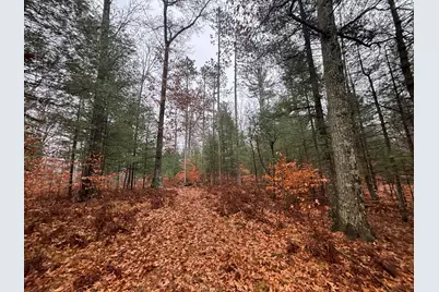 6270 S Woods Trail, Custer, MI 49405 - Photo 20