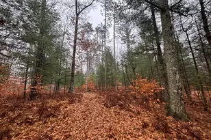 6270 S Woods Trail, Custer, MI 49405 - Photo 20