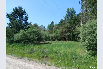 E Beyer Road, Fountain, MI 49410 - Photo 2