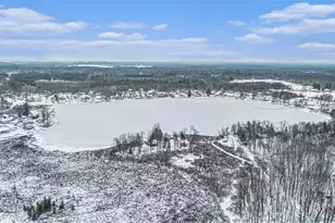 10550 W Holland Lake Rd, Greenville, MI 48838 - Photo 58