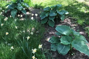 2150 Kinsey St, Muskegon, MI 49441 - Photo 26