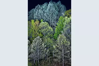 4185 N Taylor Road, Branch, MI 49402 - Photo 50