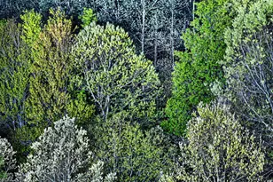 4185 N Taylor Rd, Branch, MI 49402 - Photo 50