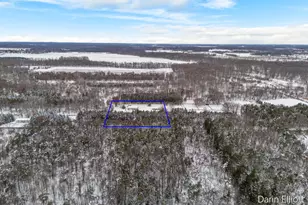 5299 Borden Rd, Fenwick City, MI 48834 - Photo 44