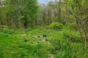 1707 W Bristol Rd, Delton, MI 49046 - Photo 14