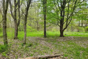 1707 W Bristol Rd, Delton, MI 49046 - Photo 14