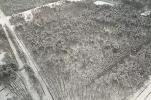 7830 Jefferson St, Hesperia, MI 49421 - Photo 46