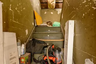 5062 Parker St, Detroit, MI 48213 - Photo 18